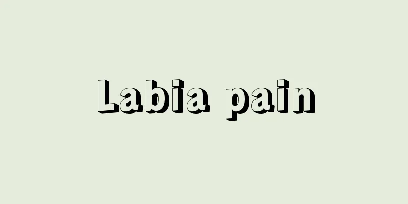 Labia pain