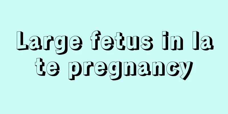 Large fetus in late pregnancy