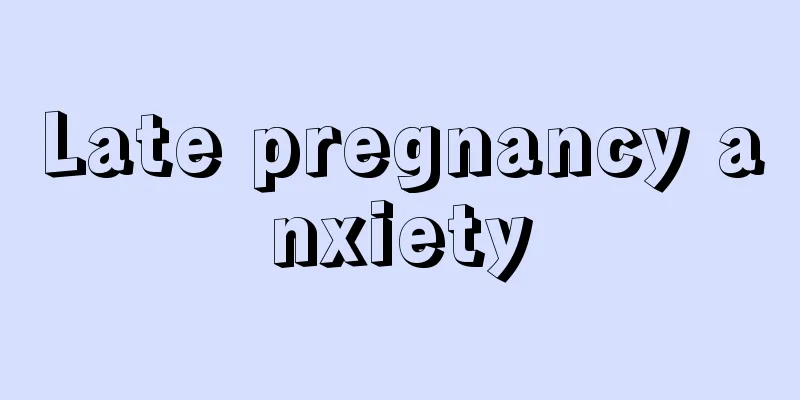 Late pregnancy anxiety