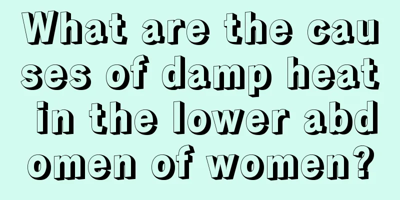 What are the causes of damp heat in the lower abdomen of women?