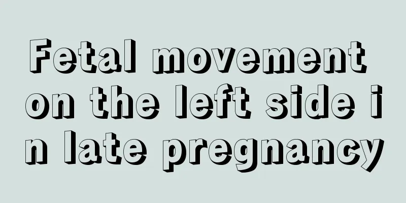 Fetal movement on the left side in late pregnancy