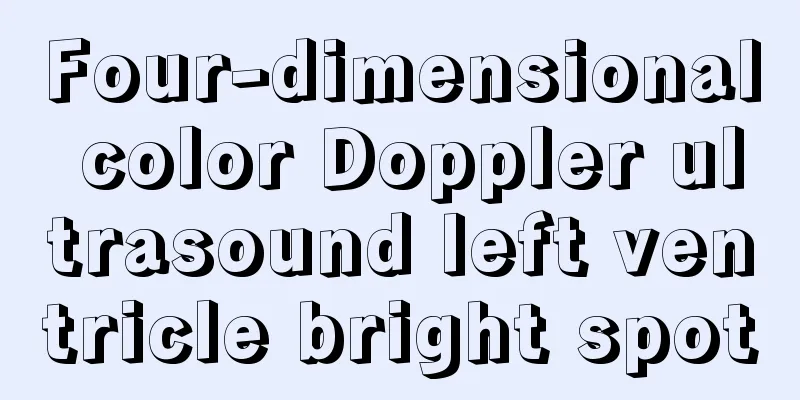 Four-dimensional color Doppler ultrasound left ventricle bright spot