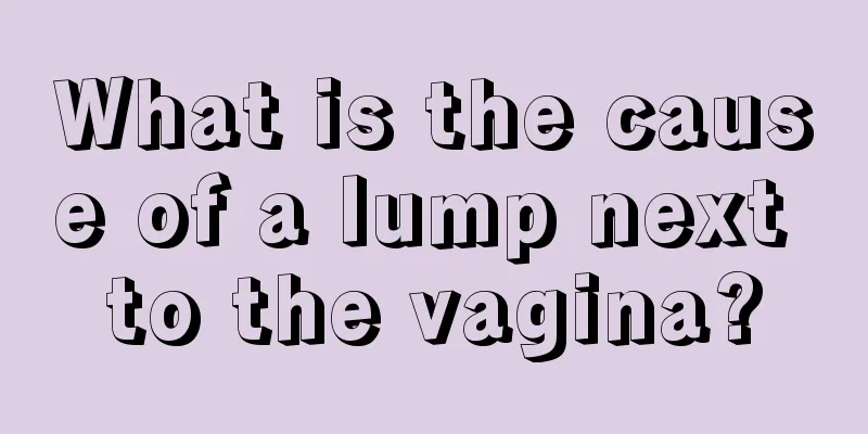 What is the cause of a lump next to the vagina?