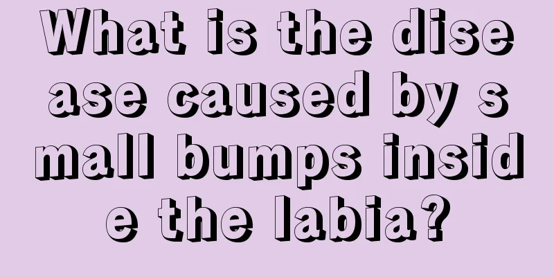 What is the disease caused by small bumps inside the labia?