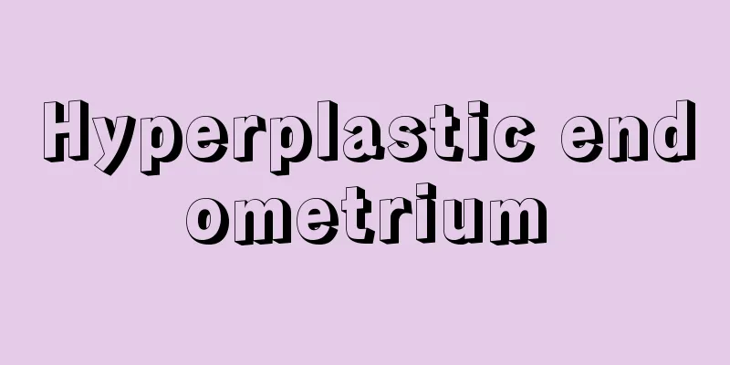 Hyperplastic endometrium