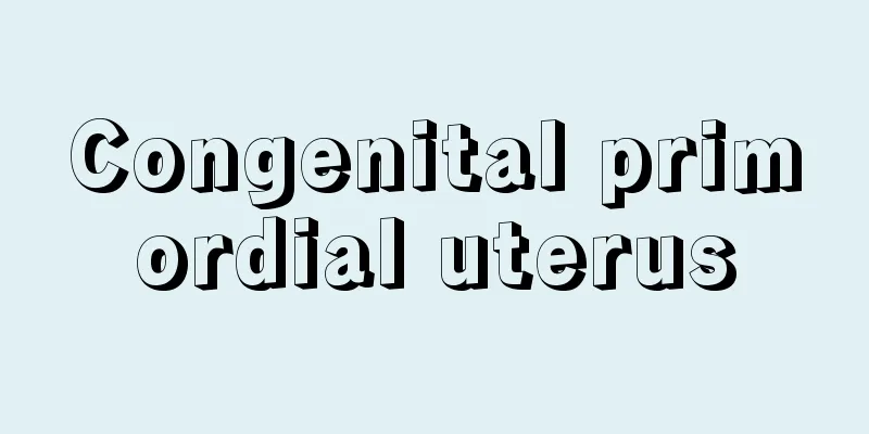 Congenital primordial uterus