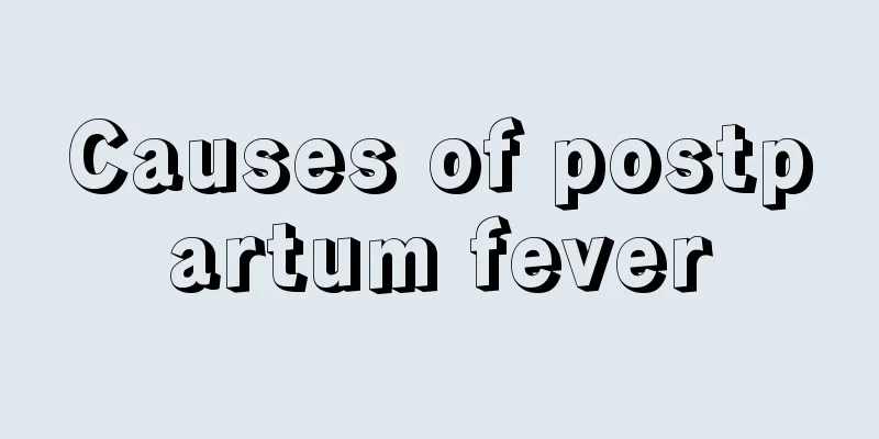 Causes of postpartum fever