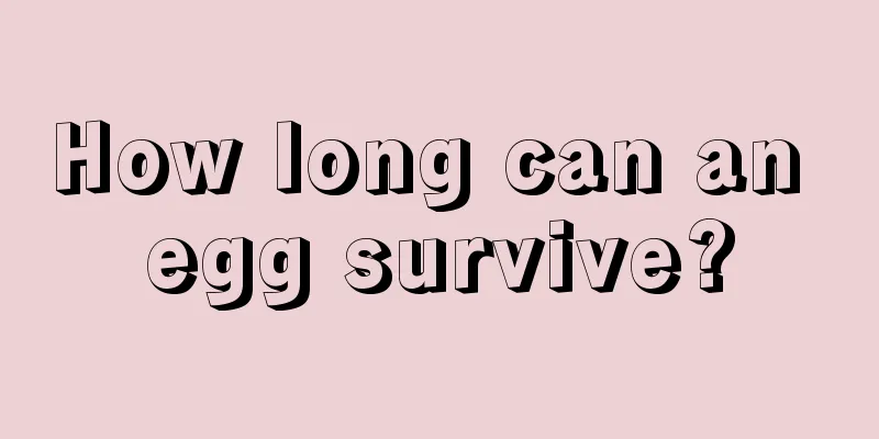 How long can an egg survive?