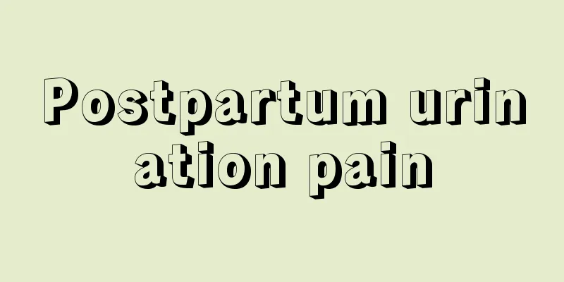 Postpartum urination pain