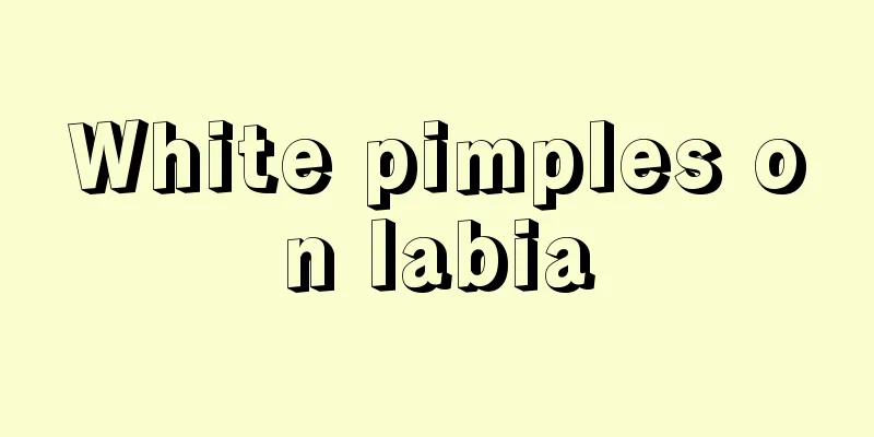 White pimples on labia