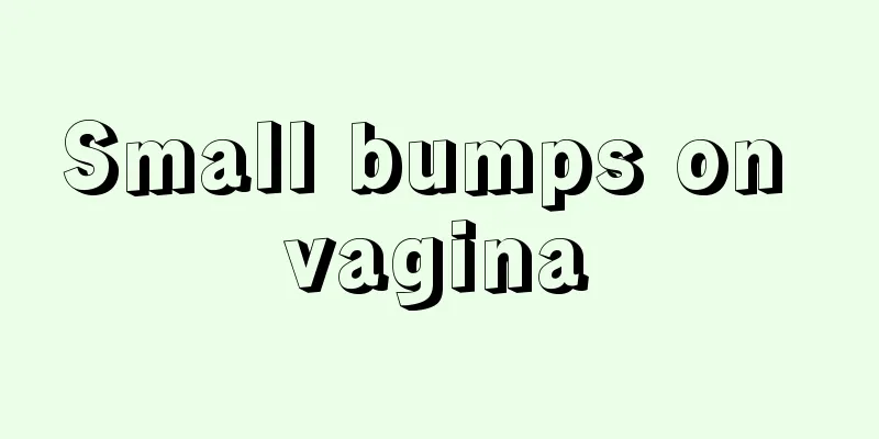 Small bumps on vagina