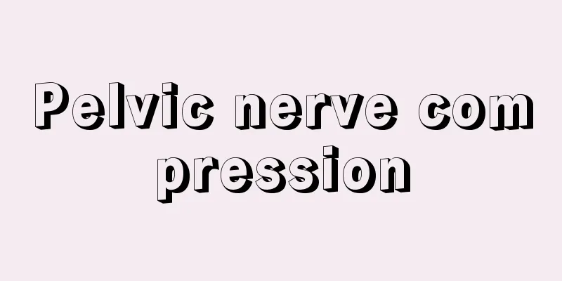 Pelvic nerve compression