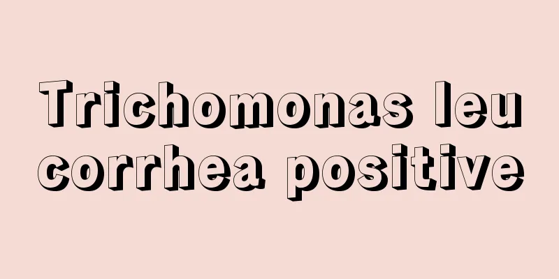 Trichomonas leucorrhea positive