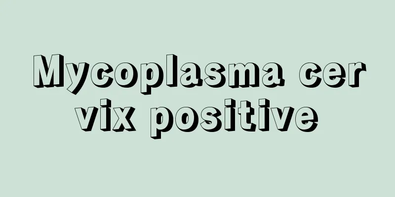 Mycoplasma cervix positive