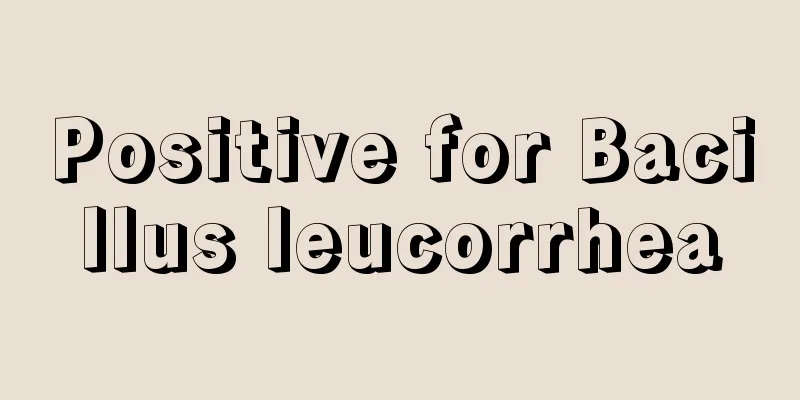 Positive for Bacillus leucorrhea