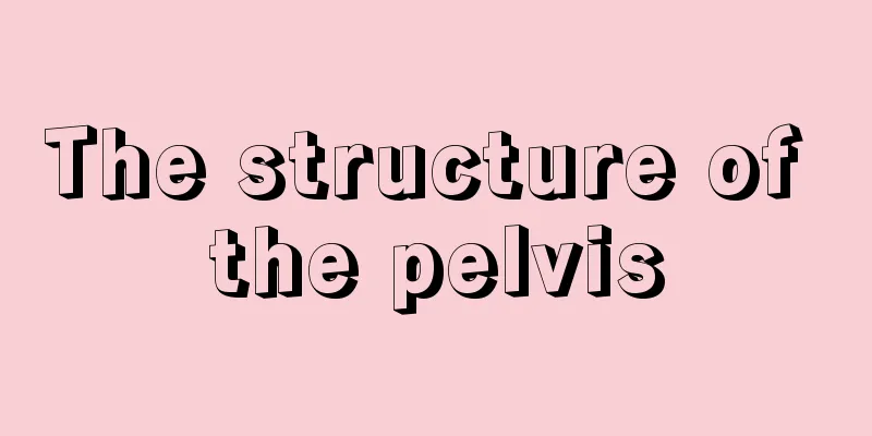 The structure of the pelvis