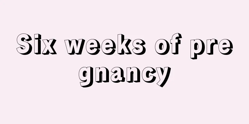 Six weeks of pregnancy