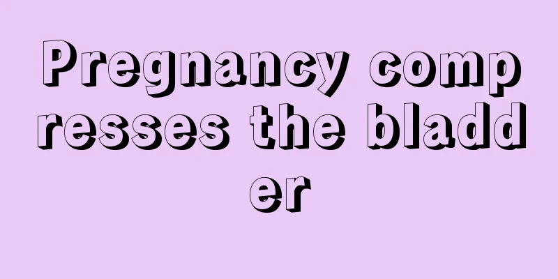 Pregnancy compresses the bladder