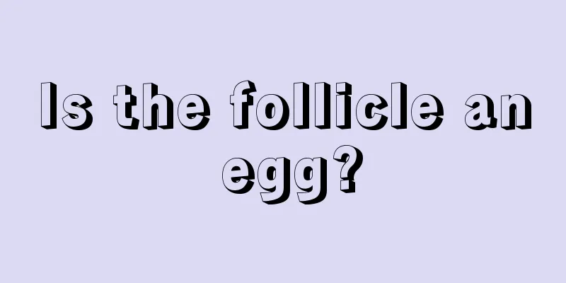 Is the follicle an egg?