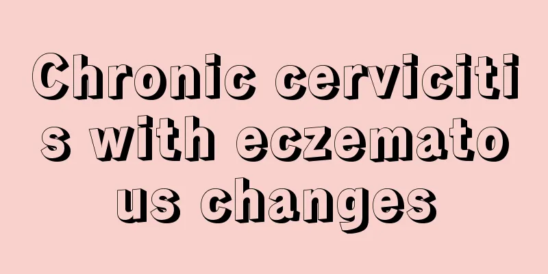 Chronic cervicitis with eczematous changes