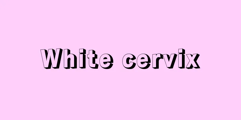 White cervix