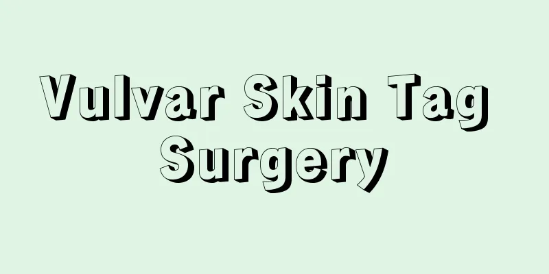 Vulvar Skin Tag Surgery