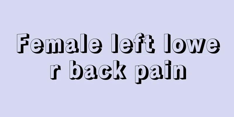 Female left lower back pain