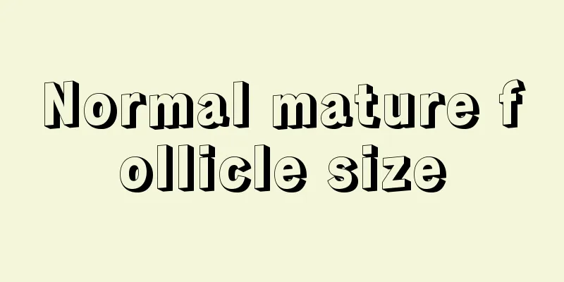 Normal mature follicle size