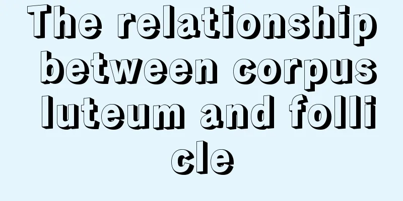 The relationship between corpus luteum and follicle