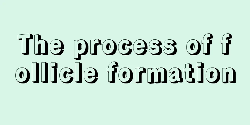 The process of follicle formation