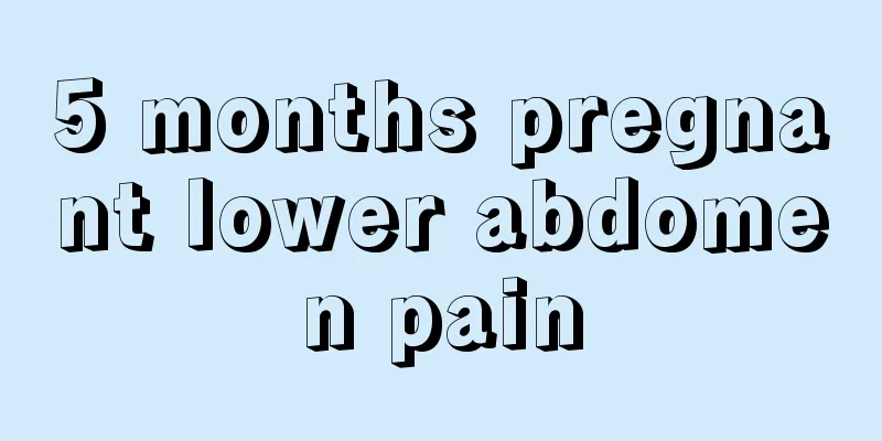 5 months pregnant lower abdomen pain