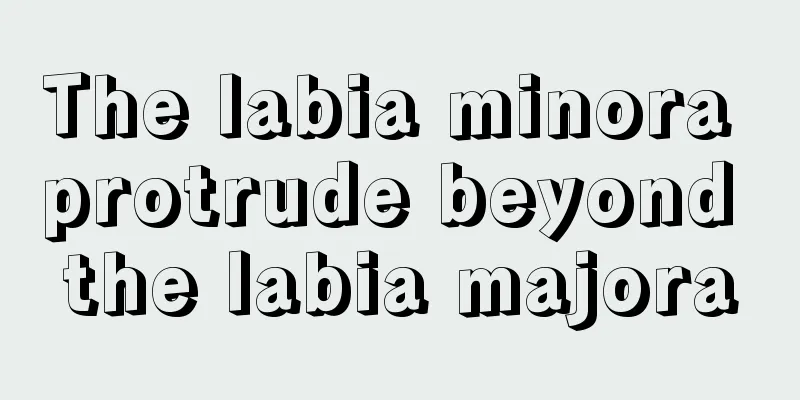 The labia minora protrude beyond the labia majora