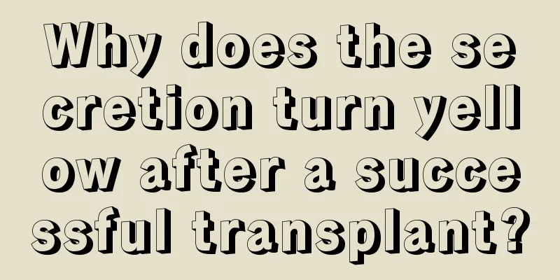 Why does the secretion turn yellow after a successful transplant?