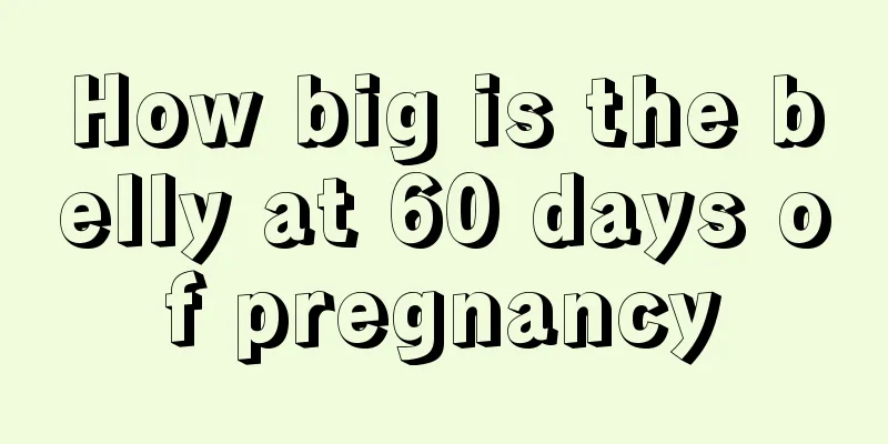 How big is the belly at 60 days of pregnancy