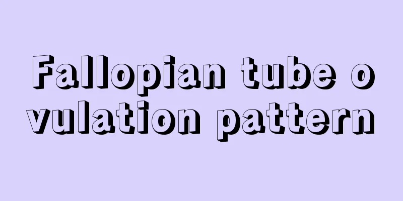 Fallopian tube ovulation pattern