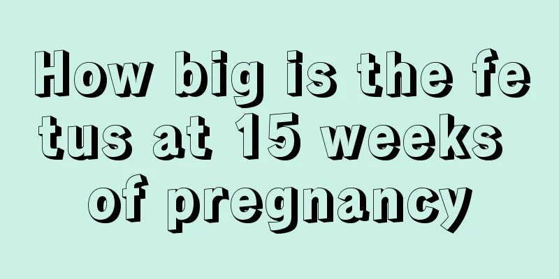 How big is the fetus at 15 weeks of pregnancy