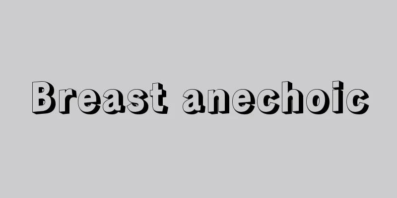 Breast anechoic