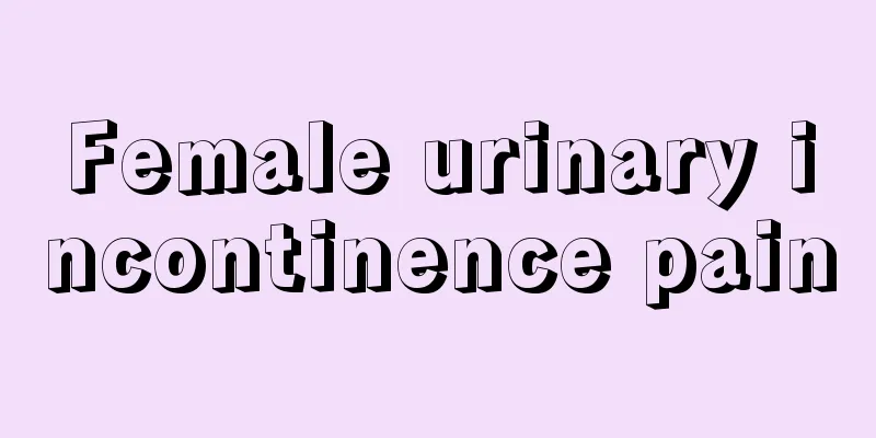 Female urinary incontinence pain