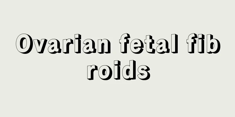 Ovarian fetal fibroids