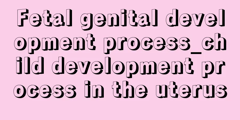 Fetal genital development process_child development process in the uterus