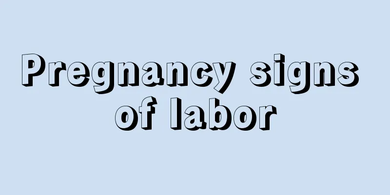 Pregnancy signs of labor