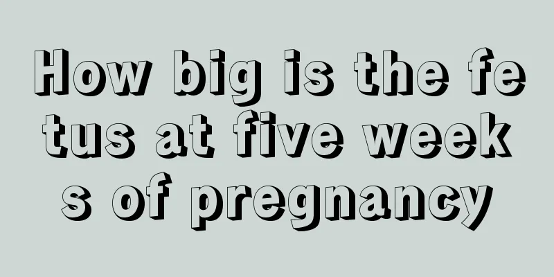 How big is the fetus at five weeks of pregnancy