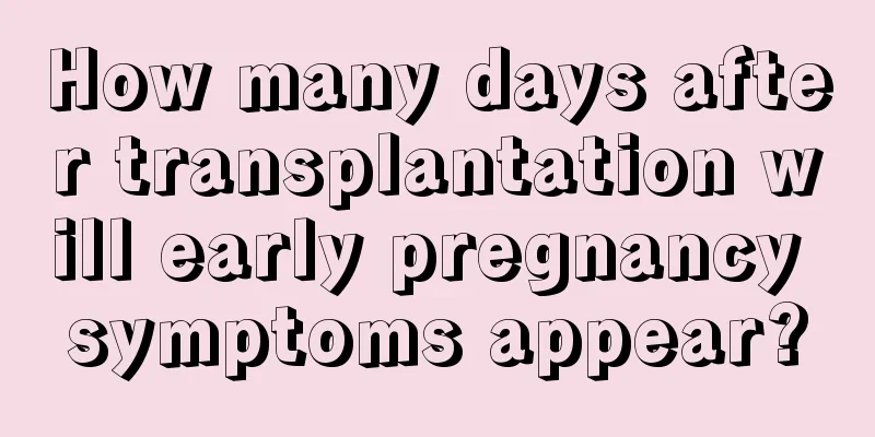 How many days after transplantation will early pregnancy symptoms appear?