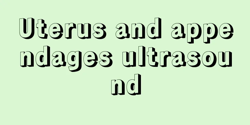 Uterus and appendages ultrasound