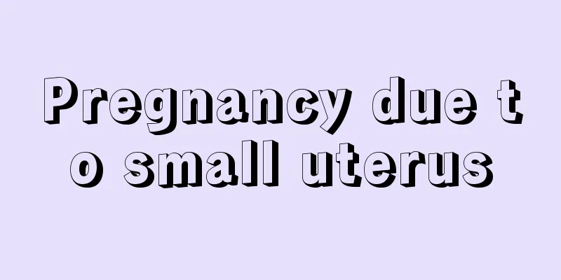 Pregnancy due to small uterus