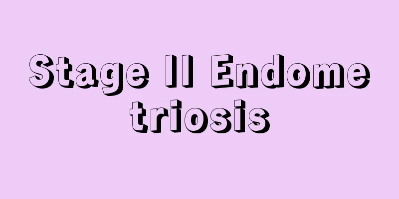 Stage II Endometriosis