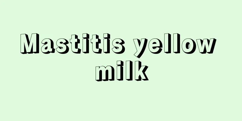 Mastitis yellow milk