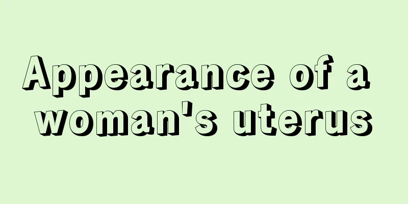 Appearance of a woman's uterus