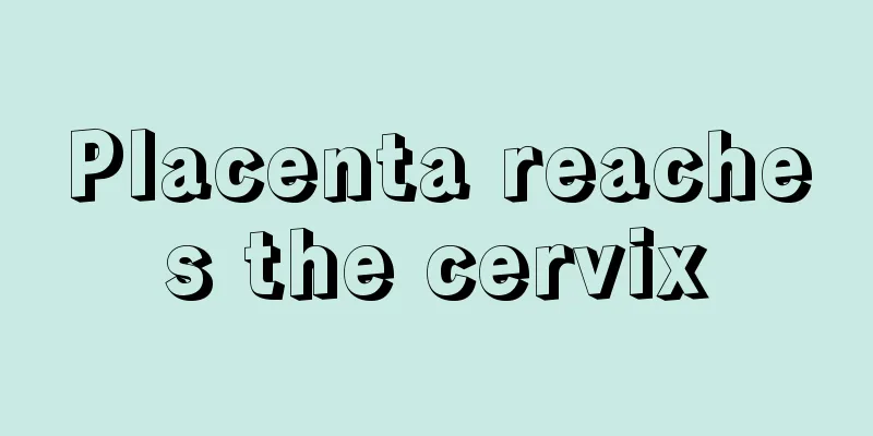 Placenta reaches the cervix