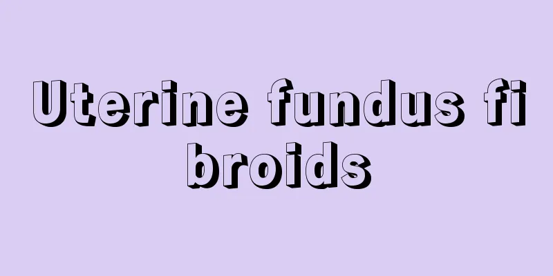 Uterine fundus fibroids